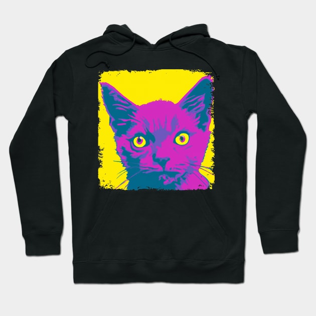 Korat Cat Pop Art - Cat Lover Gift Hoodie by PawPopArt